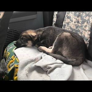 Meet your Posher, Anna